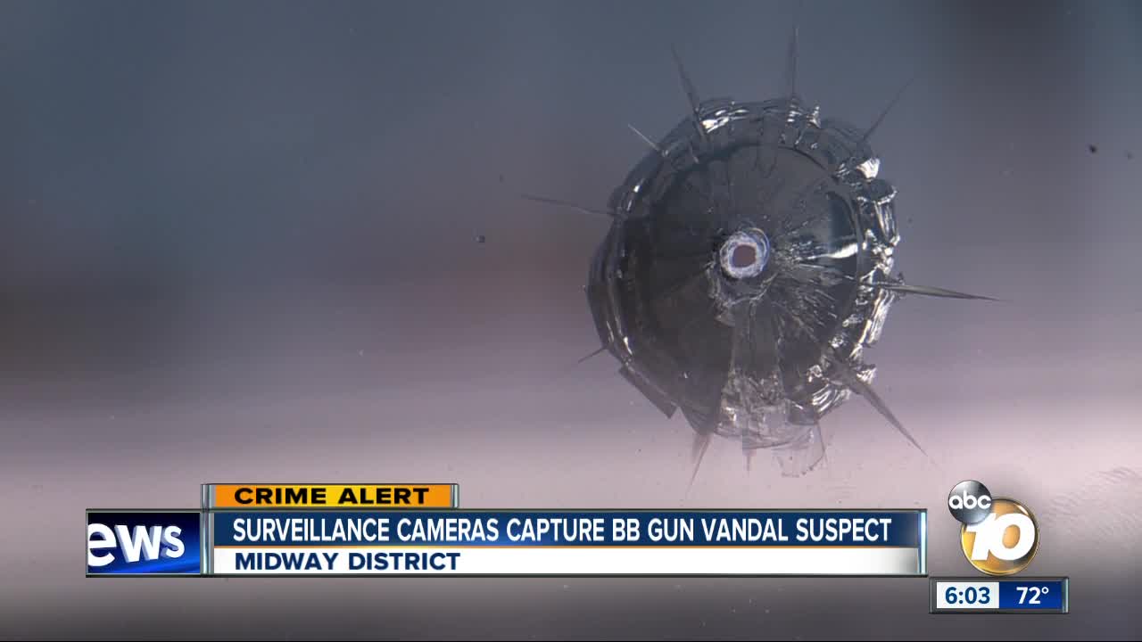 Surveillance cameras capture BB gun vandal