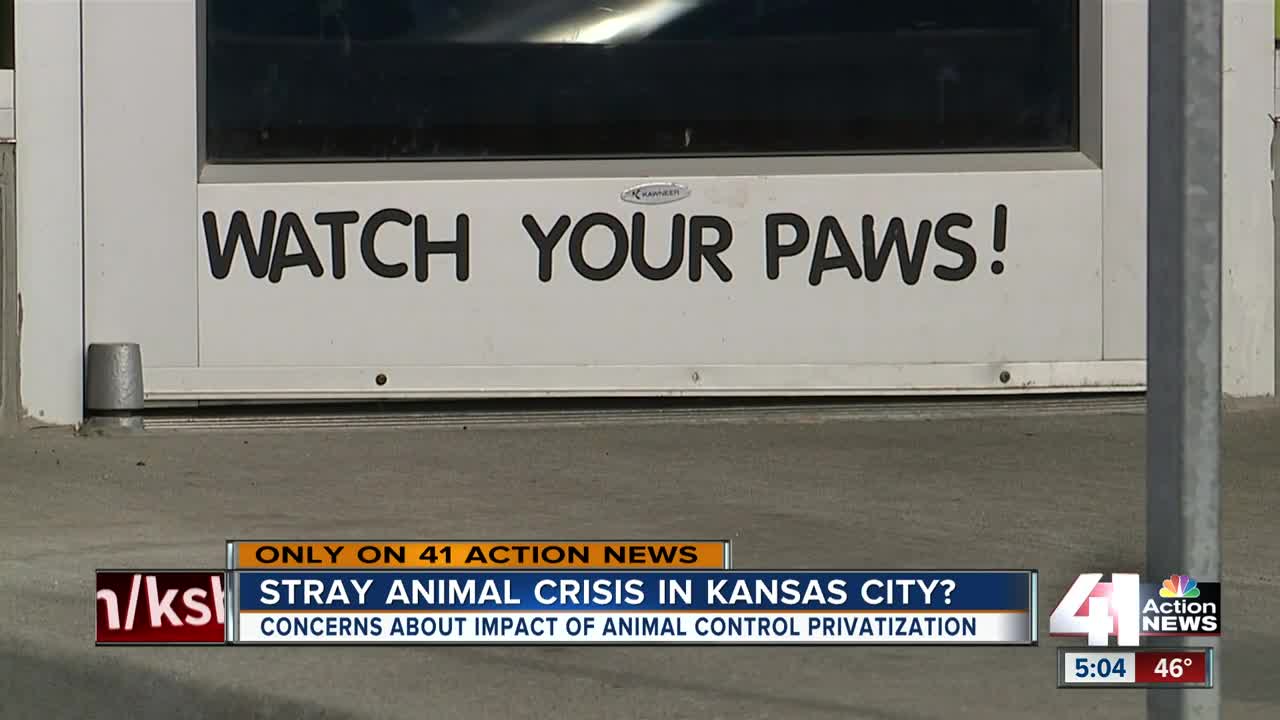 Animal groups worry about lack of city services amid privatization