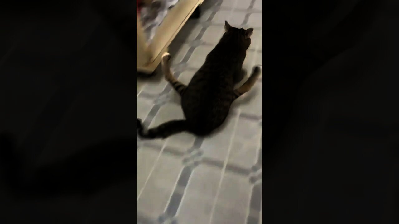 Just another day sliding😂