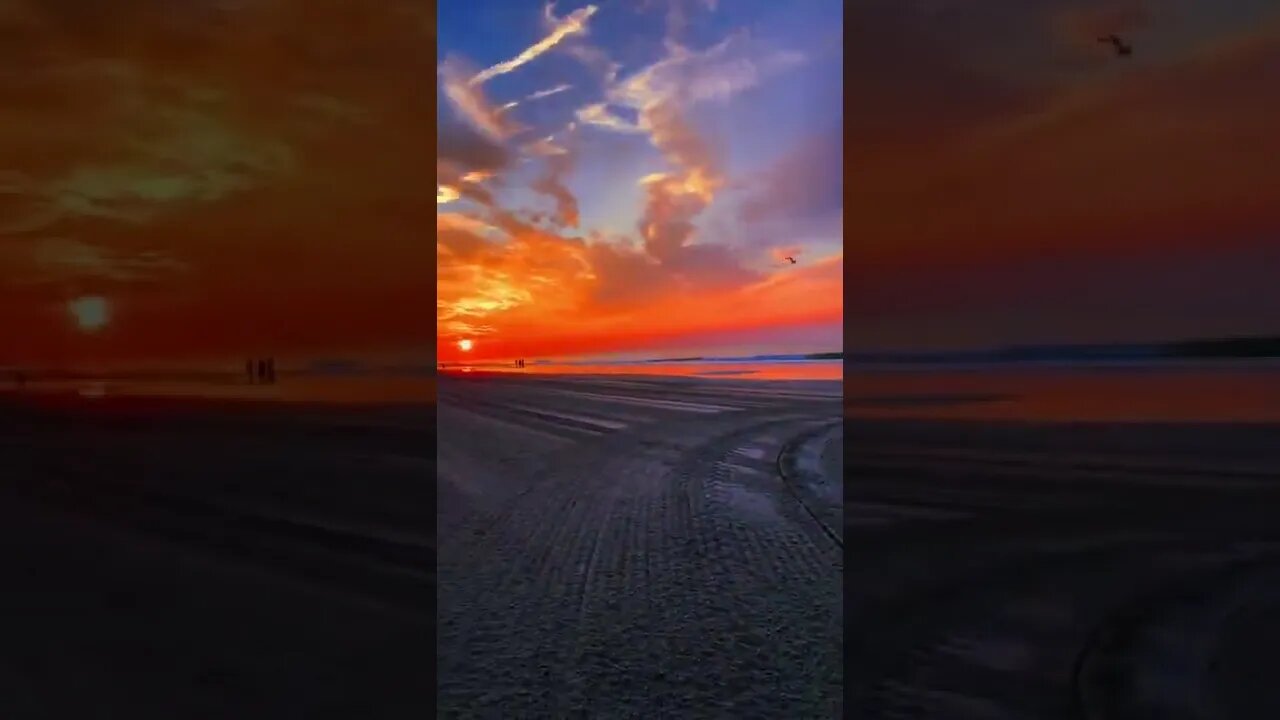 Unreal Sunrise tiktok maddy cace
