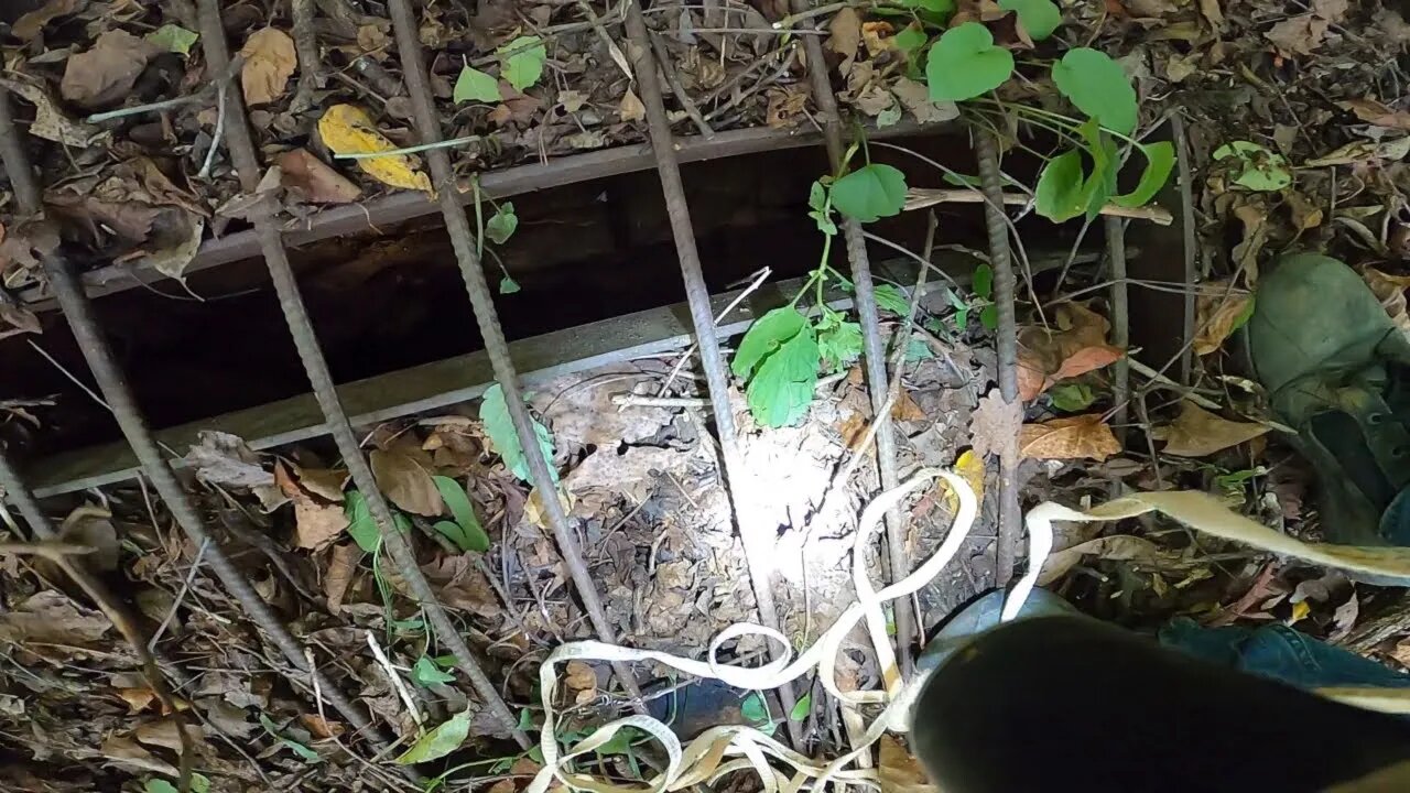 Go Pro Dropped Into A Hidden Mineshaft