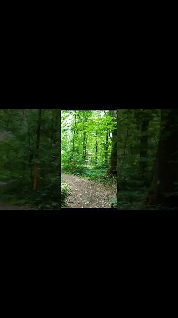 BANEASA Forest - Trailer, Bucharest - Ilfov | 4k Virtual Tour | #shorts