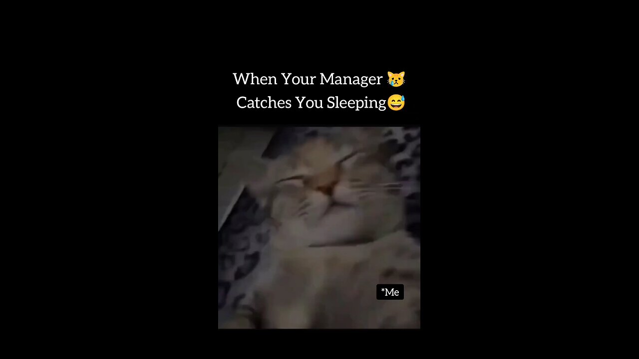 💯....🥺....😧