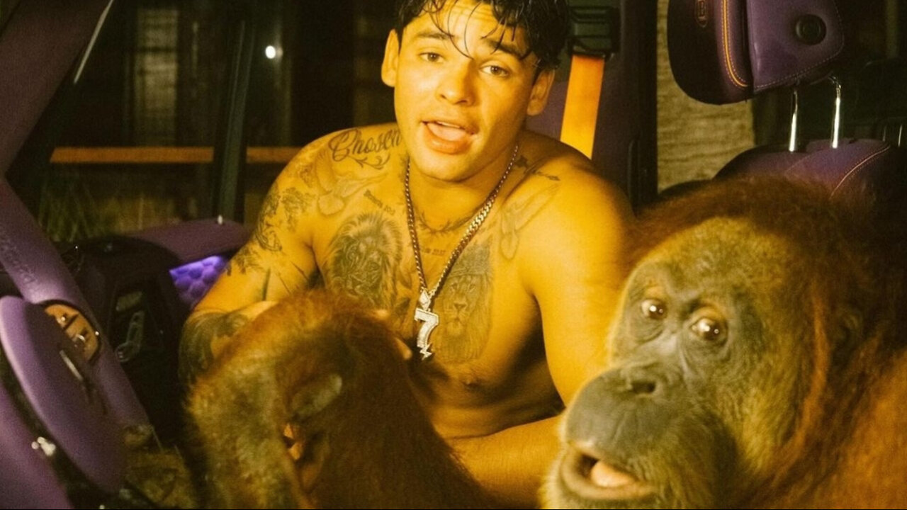 Ryan Garcia coolin with an orangutan
