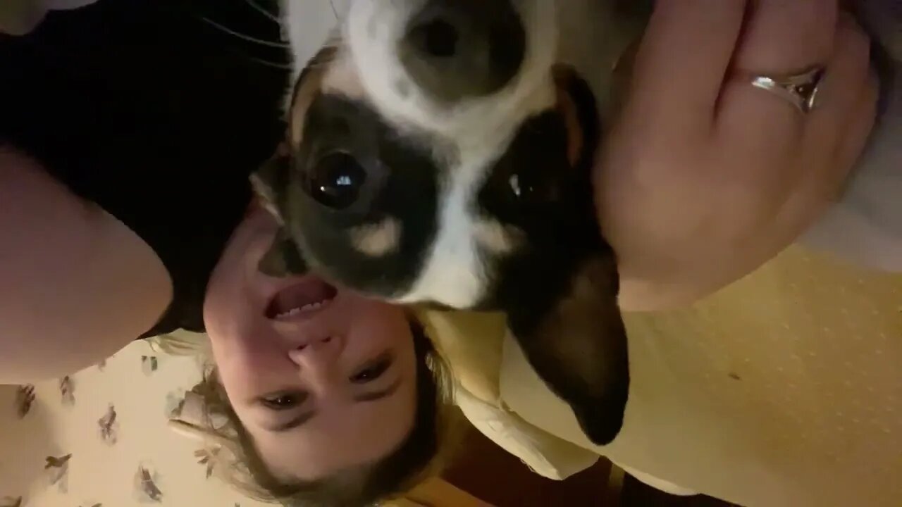 Happy Birthday ASMR to Siller!!!