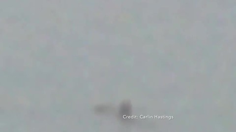 Strange creature caught on camera on Lake Michigan