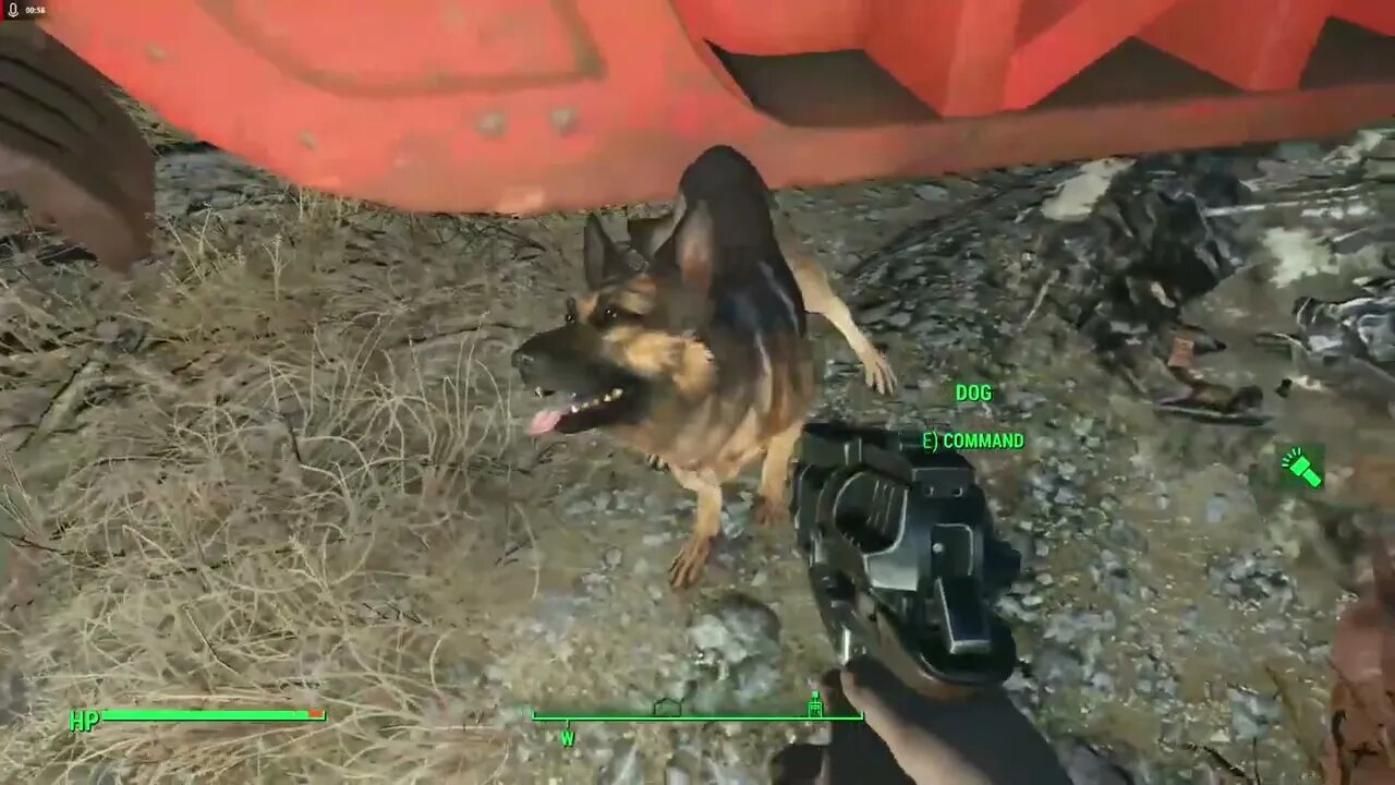 Where did Dogmeat get that Teddy bear from ? Lol | Fallout 4