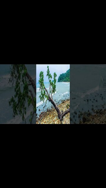 music - Relaxing music #music #shorts #short #shortvideo #shortsvideo