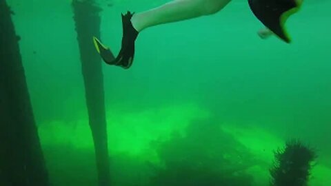 Breathtaking underwater adventure at Busselton Pier