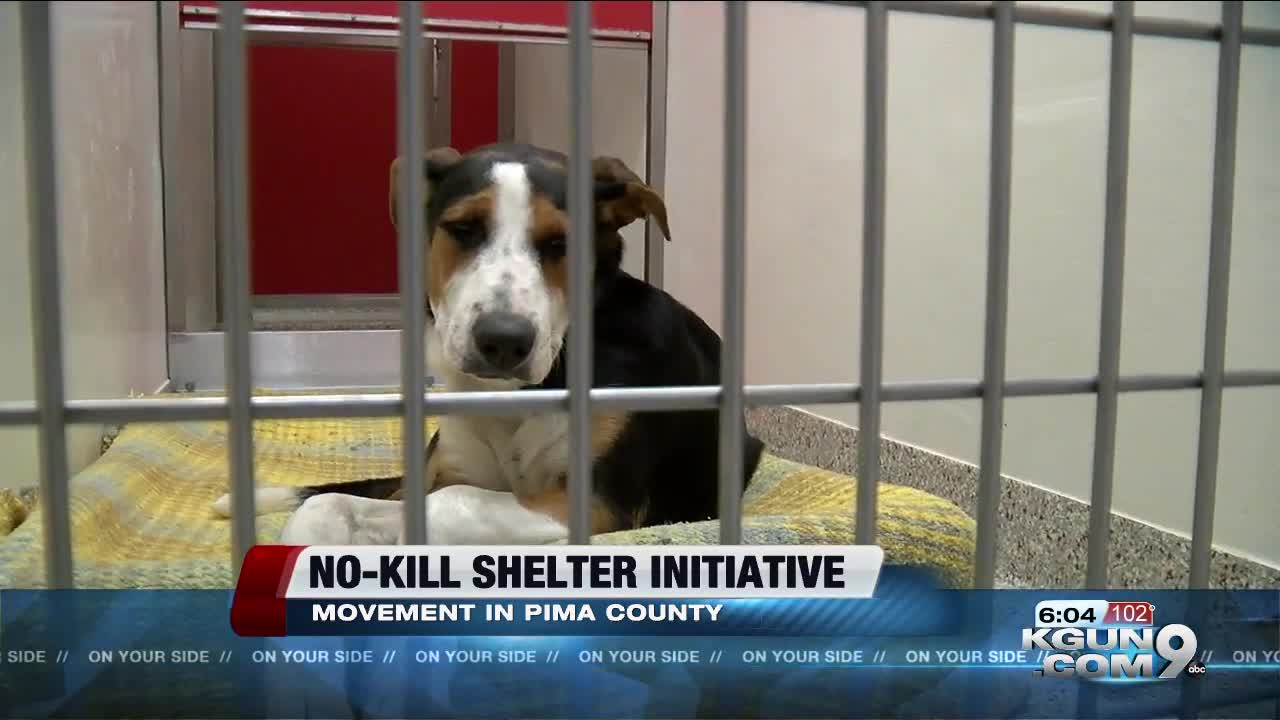 Delaware is now a no-kill animal shelter state. Could Arizona be next?