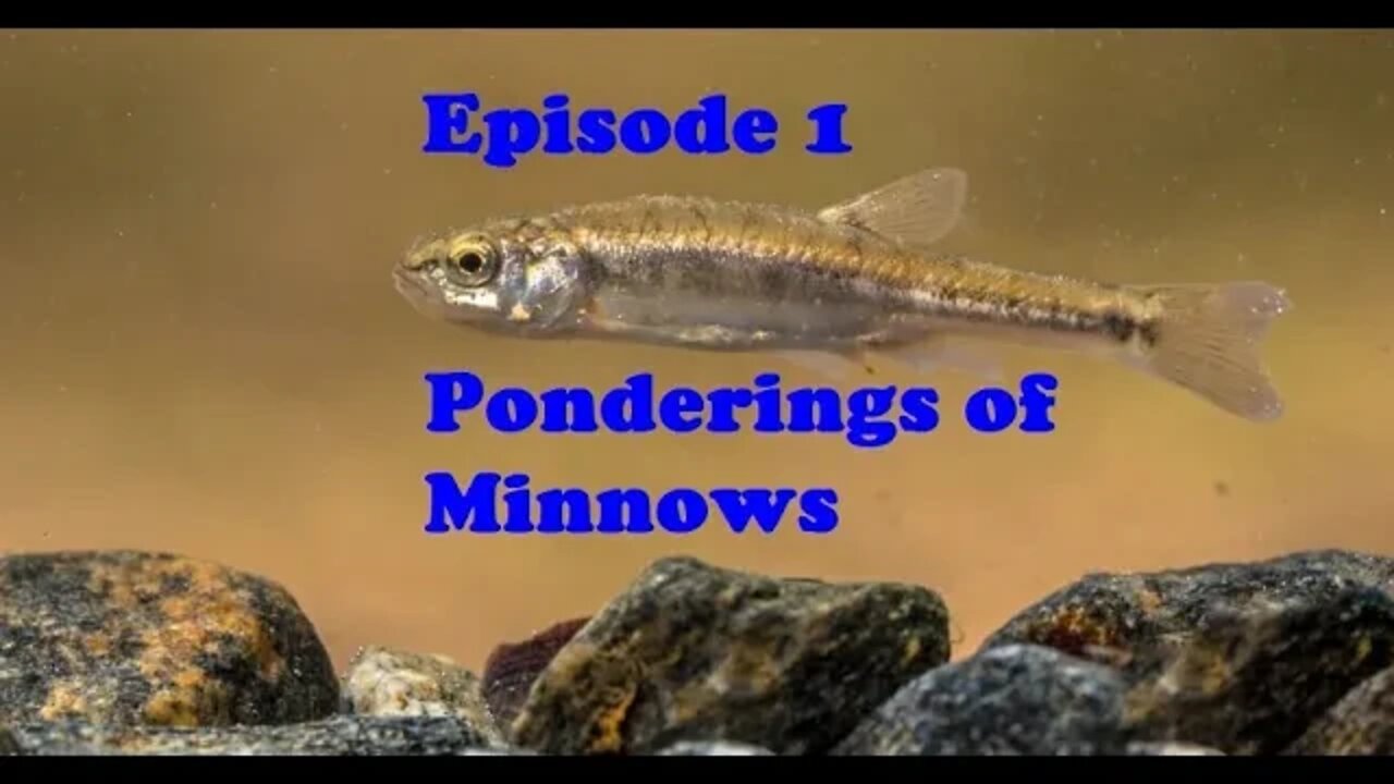 TreeWalker Talks Podcast Episode 1: Pondering of Minnows