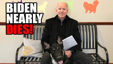 Biden Nearly DIES from Playing with Dog