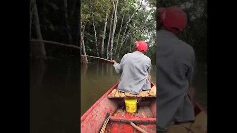 Amazing Asian Fishing Video 🐟 Best Fishing Techn