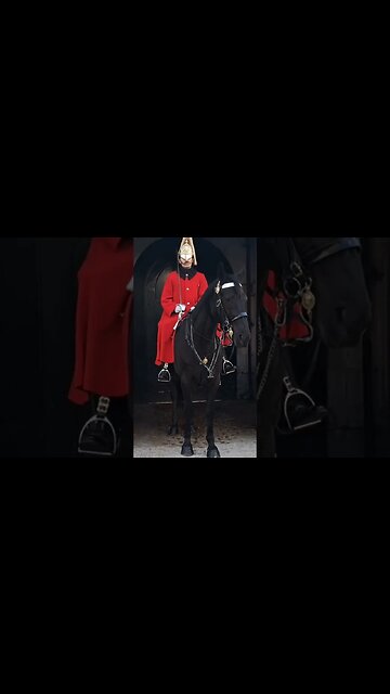 Horse is warning the tourist i will bite you #horseguardsparade