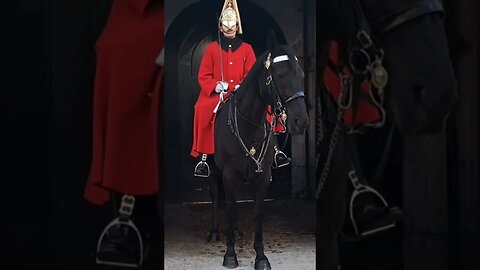 Horse is warning the tourist i will bite you #horseguardsparade