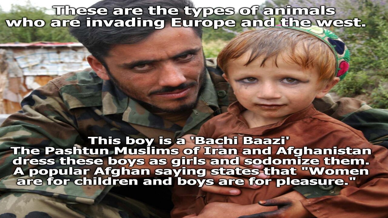 These are the Types of Animals Who are Invading Europe and the West