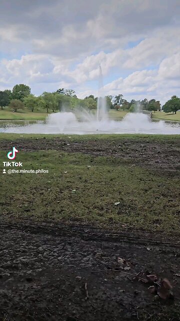 My Peaceful Place - Taxes Are Theft