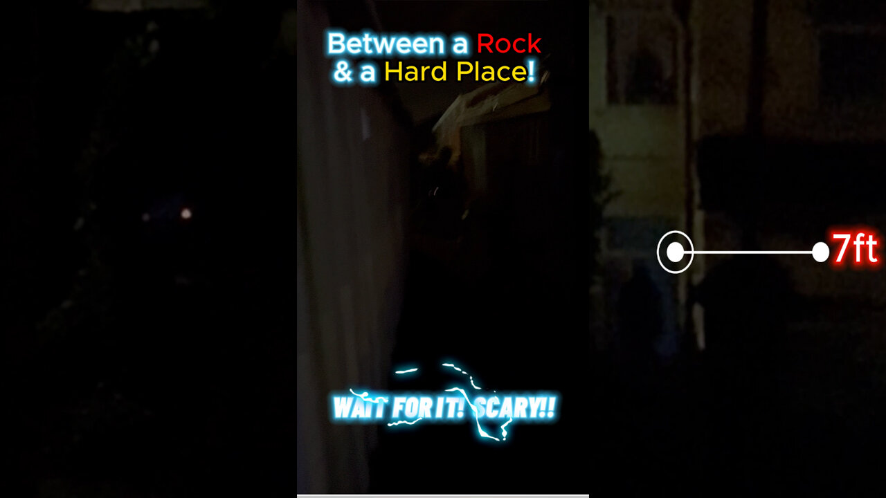 Between a Rock and a Hard Place! Very Scary Night-time Encounter! 😰😱😲