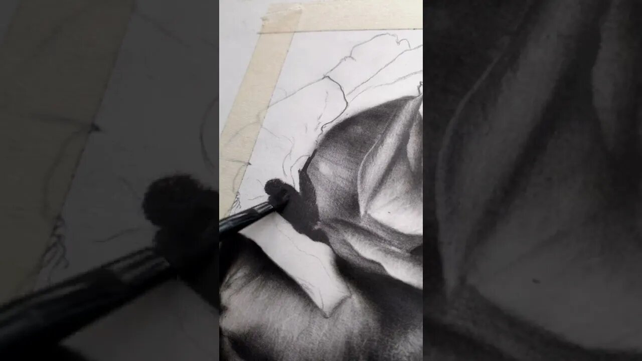 Rose (1hour in few seconds)