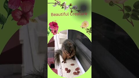 Besutiful Creature @ @everyone #everyone