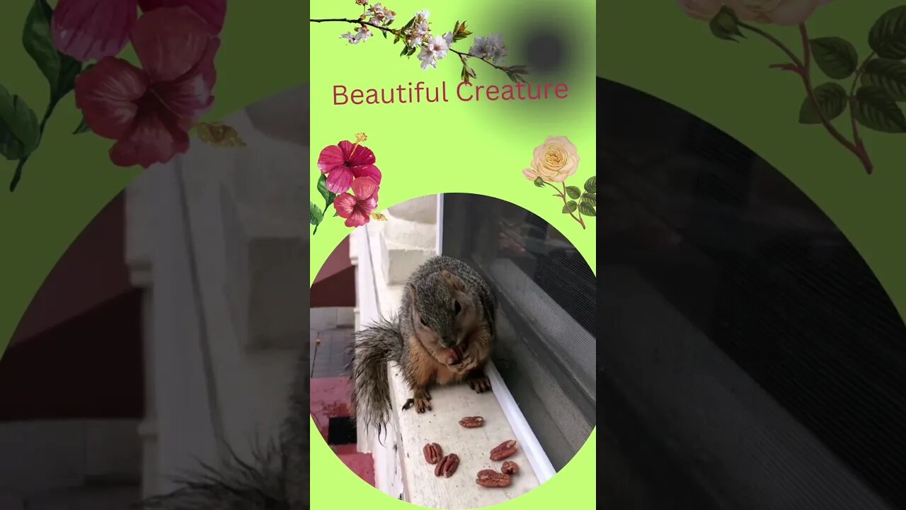 Besutiful Creature @ @everyone #everyone