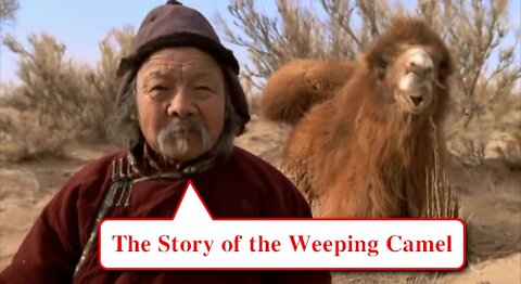 The Story of the Weeping Camel