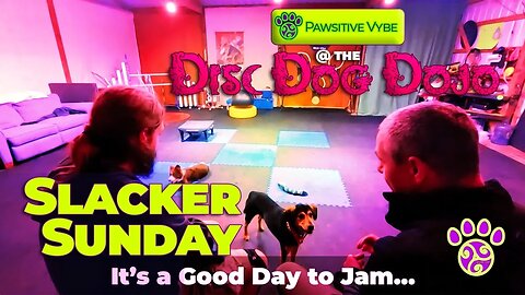 DiscDog Dojo #64 | Slacker Training Sunday