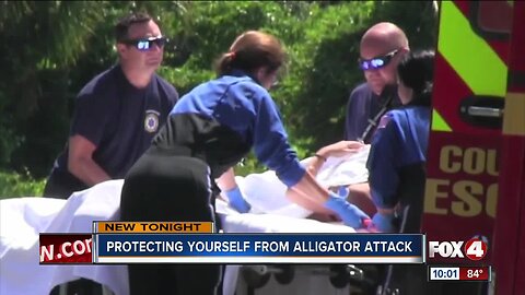 Protect yourself from an alligator attack