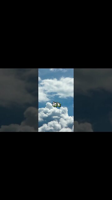 Here's a tissue #shorts #funny #viral