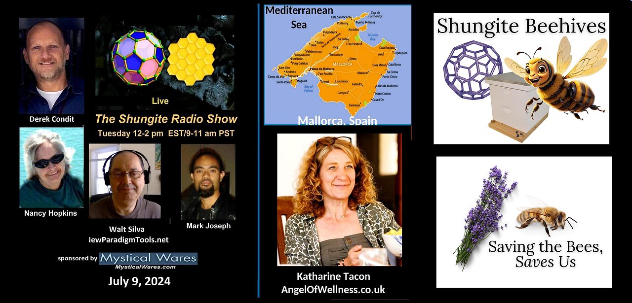 SHUNGITE REALITY 7-9-24 - Katharine Tacon on Shungite Beehives