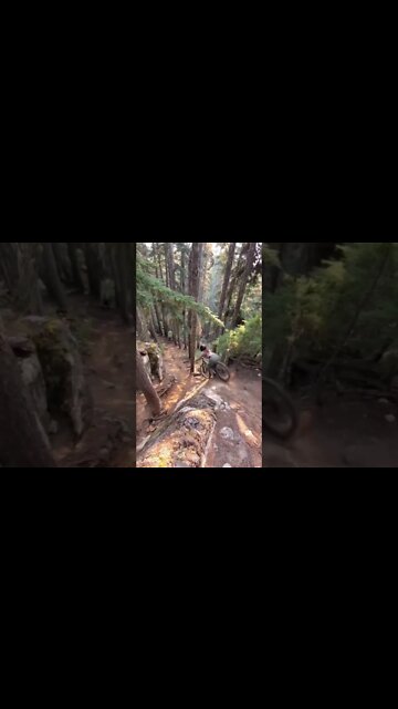 Stupid Is As Stupid Does