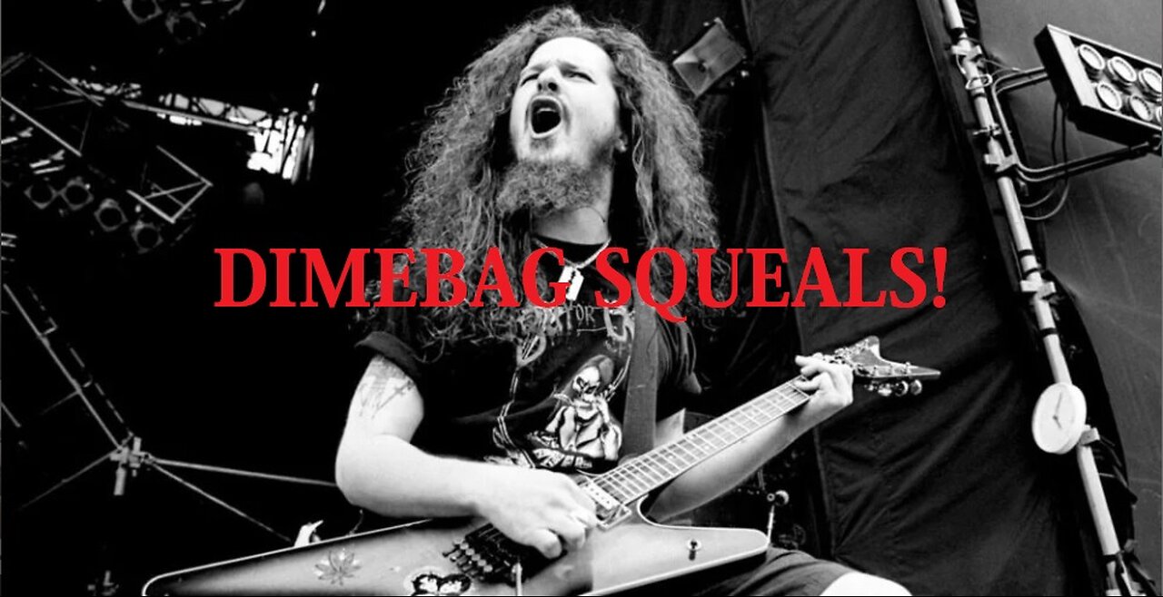 Dimebag Squeals Tips and Discussion