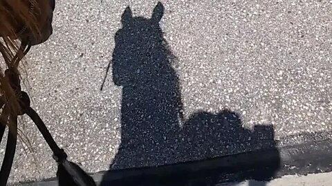 Horse won't Cross Scary (to him 😂🤣) Interstate Bridge 😭 Semis Speeding Under 😲🐴
