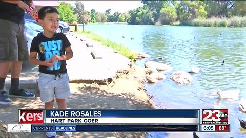 Hart Park renovation: County ready to accept designs