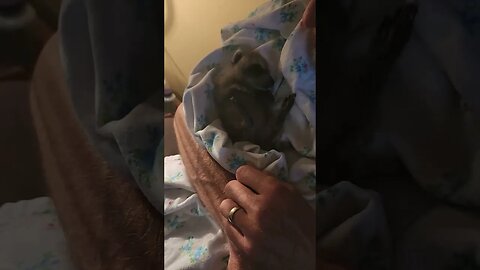 Peanut has had a long day