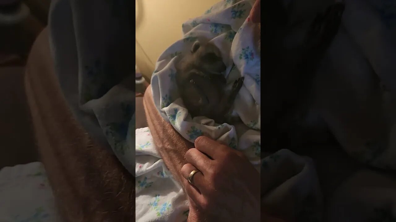 Peanut has had a long day