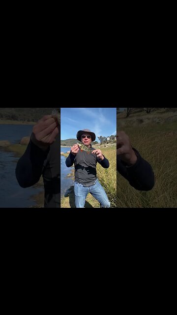 My first #fish in 20 years!