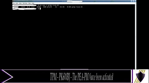 TPM - PK6WBJ - PEA PIO are activated