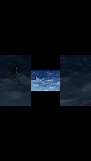 orca whale being silly