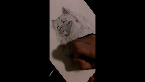 Dog Hand Drawing