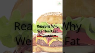 Reasons Why You Need Fat In Your Diet| BlomWithLor #shorts