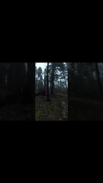 Hike in the Mist at Philmont Scout Ranch