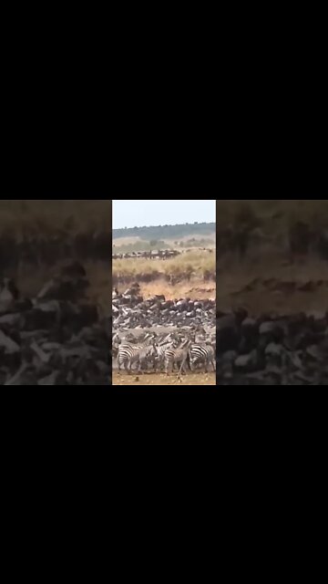 Top 10 fenômenos naturais incrível