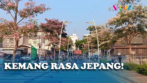 Tak Perlu Naik Pesawat, Vibes Jepang Kini Hadir di Kemang!