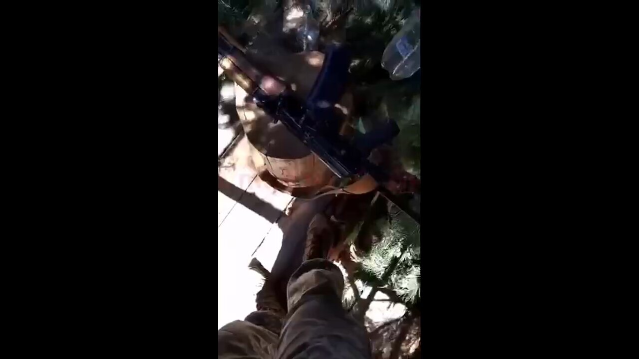 Some Ukrainian soldiers decided to build a tree fort