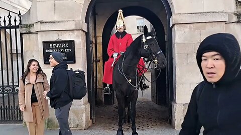 Don't turn your back on the horse #horseguardsparade