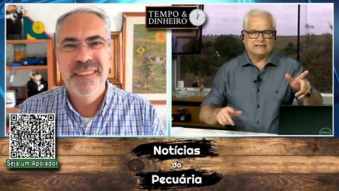 Boi gordo tem preços menores que os de outubro de 2020. MT abaixo de R$ 240@