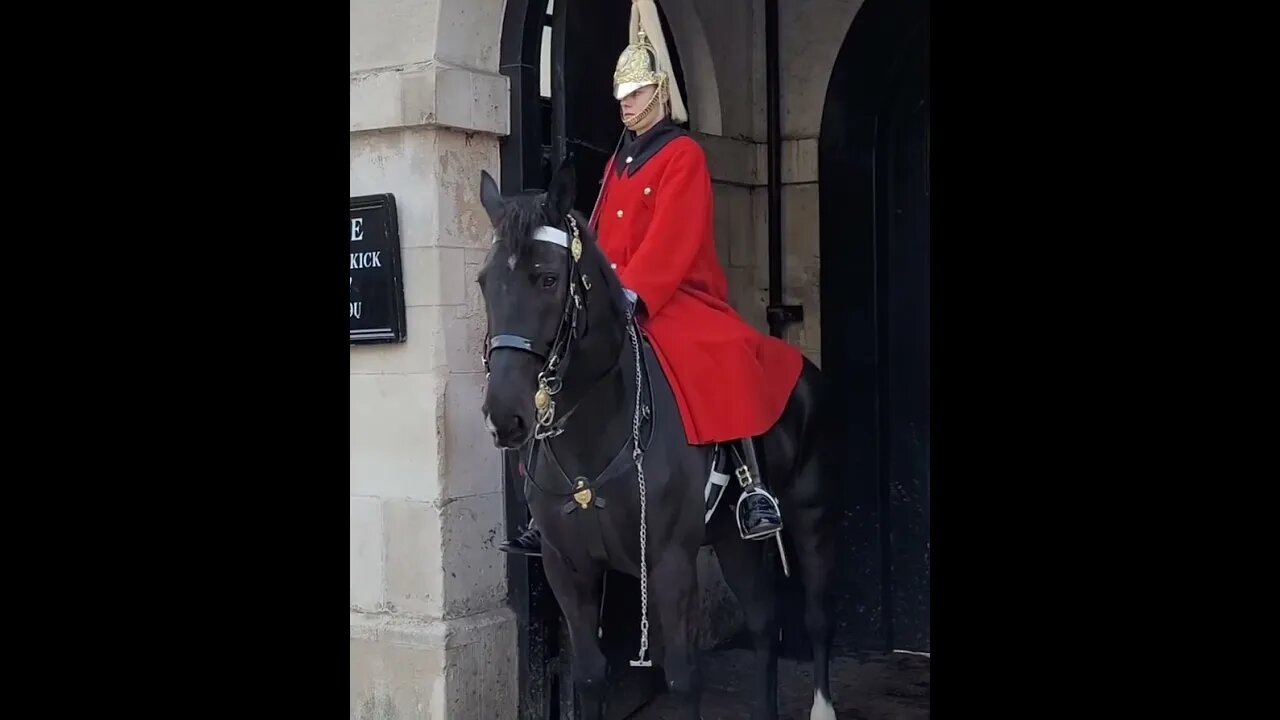 Guard call for assistance #horseguardsparade