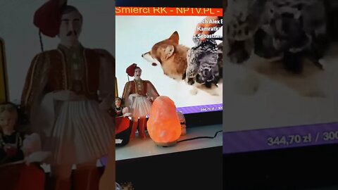 Kamraci today Ryceze Polski Zwyciescy, niezlomni I niezwyciezeni