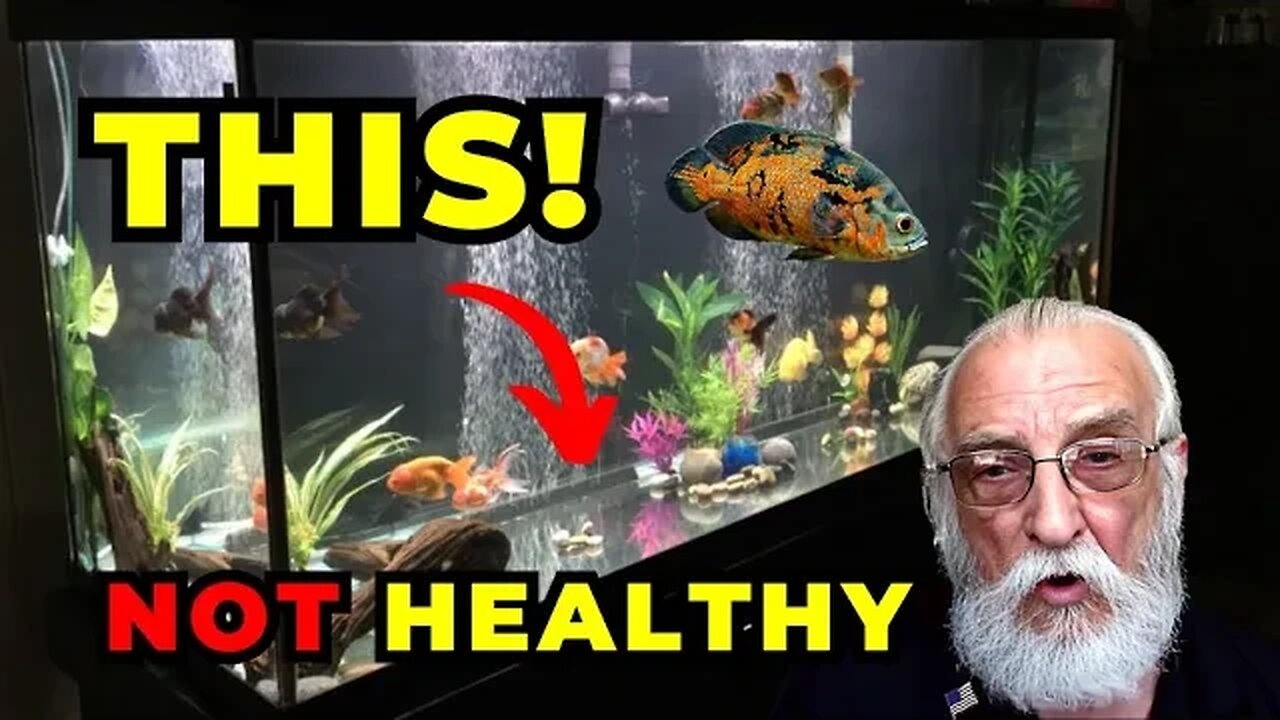 What is a Healthy Aquarium?